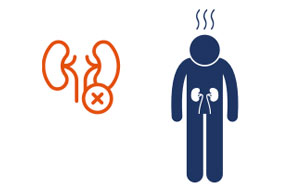 High blood pressure and kidney problems, possibly leading to kidney failure.
