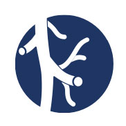 An endarterectomy involves removing the plaque build-up from the artery walls.