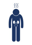 Injury to bowel / bladder / kidney